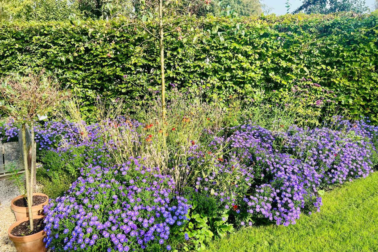 Te koop: Foto Woonhuis aan de C.G. Wichmannstraat 7 in Groningen