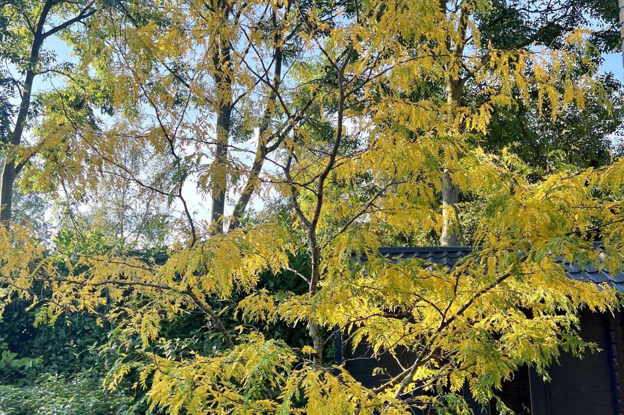 Te koop: Foto Woonhuis aan de C.G. Wichmannstraat 7 in Groningen