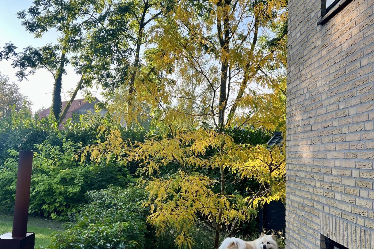 Te koop: Foto Woonhuis aan de C.G. Wichmannstraat 7 in Groningen