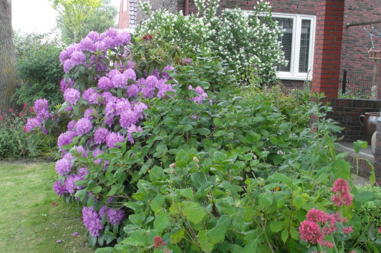 Te koop: Foto Woonhuis aan de Timpweg 10 in Groningen