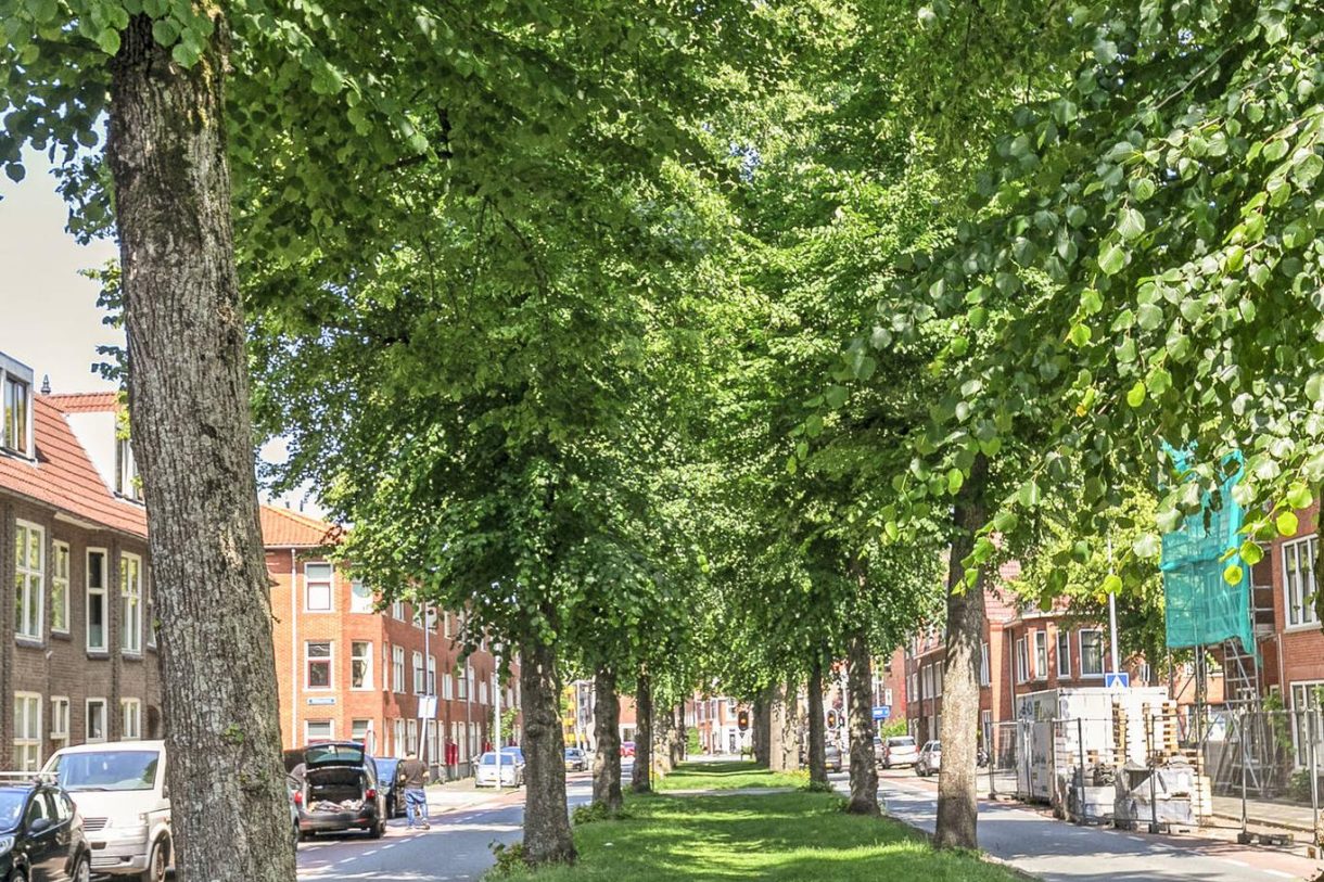 Te koop: Foto Woonhuis aan de Sumatralaan 31 in Groningen