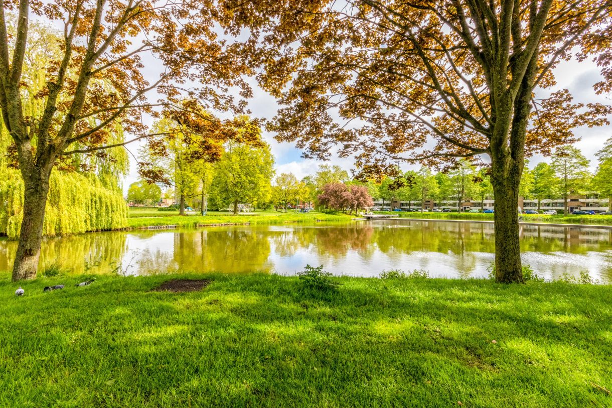 Te koop: Foto Appartement aan de Bilderdijklaan 53 in Groningen